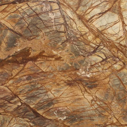 Forest Brown Marble