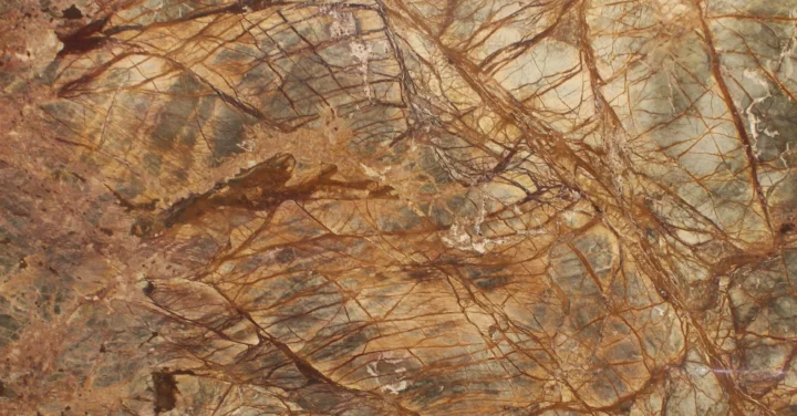 Forest Brown Marble