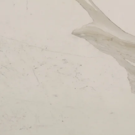 Calacatta Sponda 1 Marble